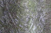 Alton Pancras fibreglass roof work